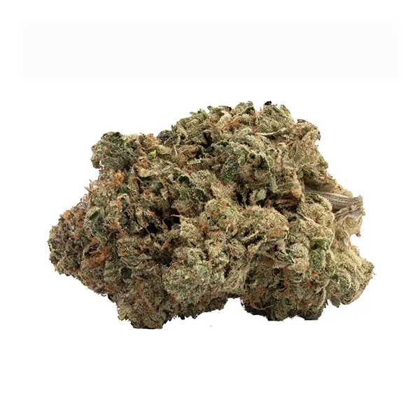 Bud image for TF Pink Kush, cannabis all products by CanWe