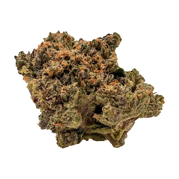 Gas Bag (Dried Flower) by Baggies