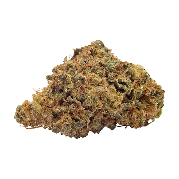 Bud image for Coastal Sage, cannabis all products by FIGR