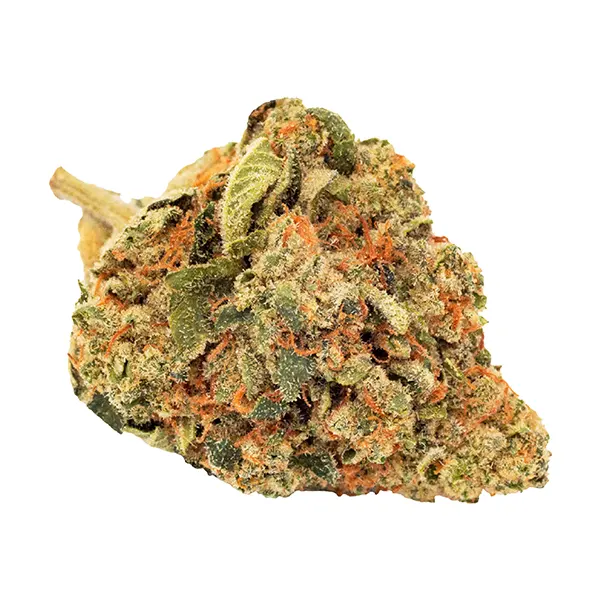 Sunshine Bubble Kush (Dried Flower) by FIGR