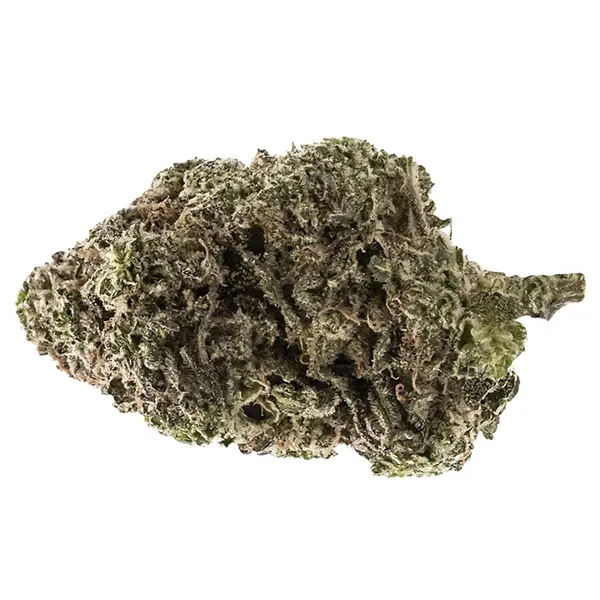 Bud image for Jungle Fumes, cannabis all products by FIGR