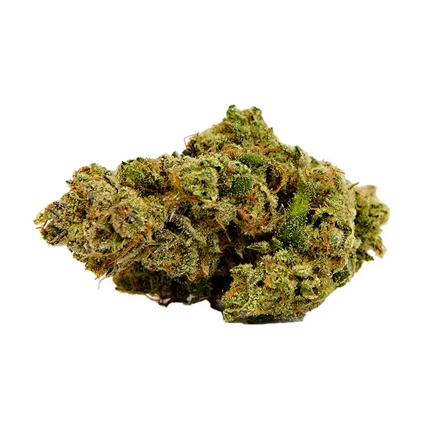 Bud image for Interlude, cannabis all products by Color Cannabis