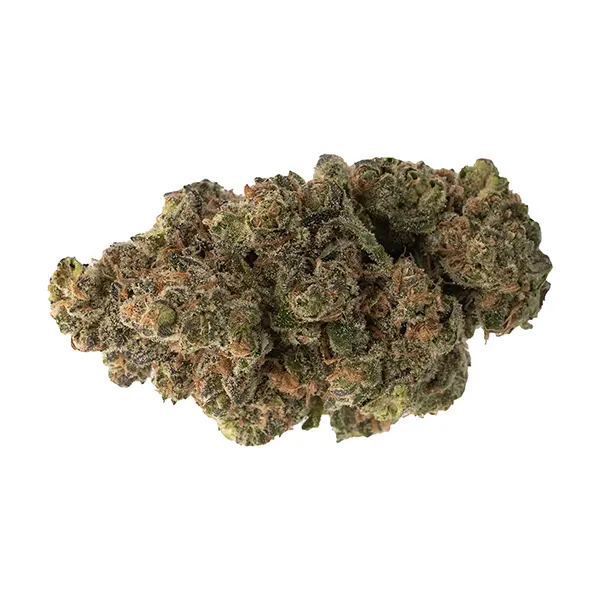 Bud image for Phantom Sunset, cannabis all products by Color Cannabis