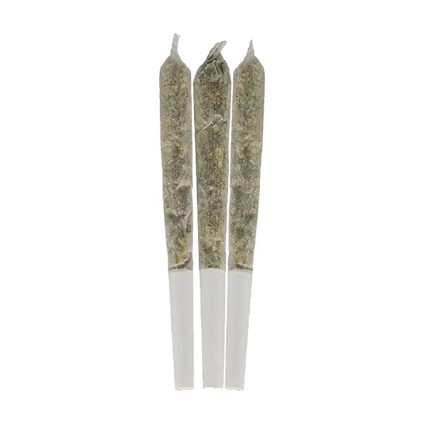 Image for Blueberry Seagal Live Resin Infused Pre-Roll, cannabis all products by Color Cannabis