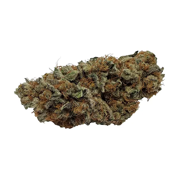 Bud image for Pedro's Prima Sativa, cannabis all products by Color Cannabis