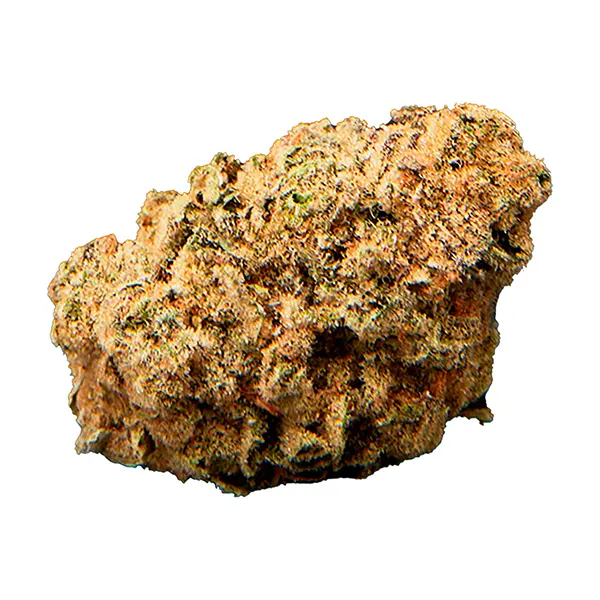 Bud image for P.S. Cheetah, cannabis all products by Qwest