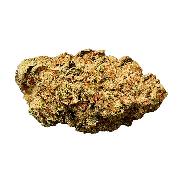Duct Tape (Dried Flower) by Qwest
