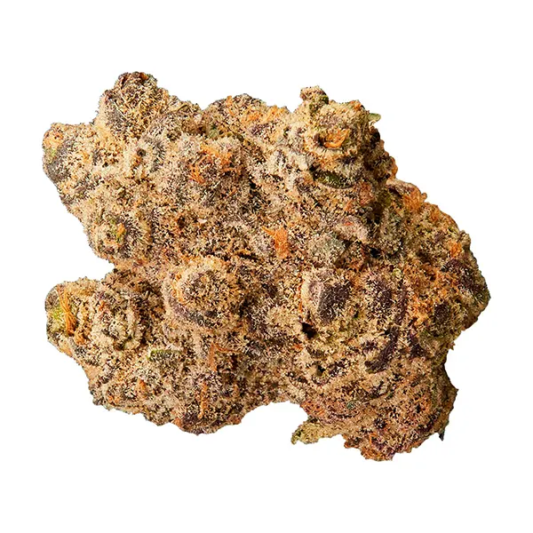 Bud image for Grape Cream Cake Craft Whole Flower, cannabis all products by Qwest