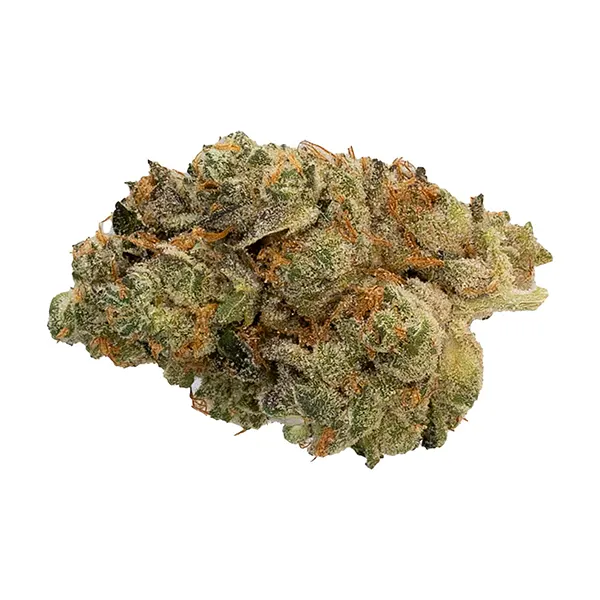 Bud image for Secret Stash - Hybrid, cannabis all products by Hot Box
