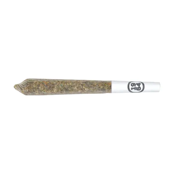 Resin Roll GLTO ..