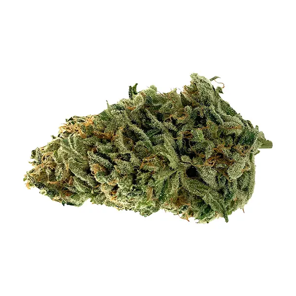 Haze (Dried Flower) by LowKey