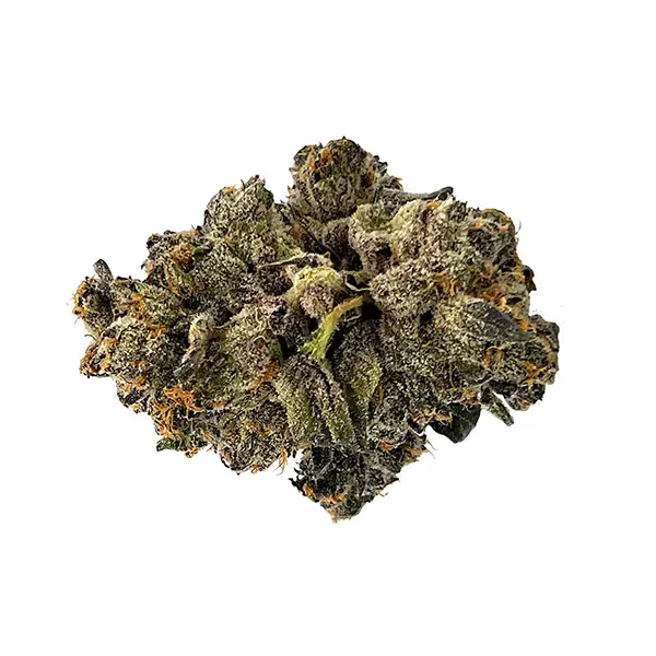 Dessert (Dried Flower) by LowKey
