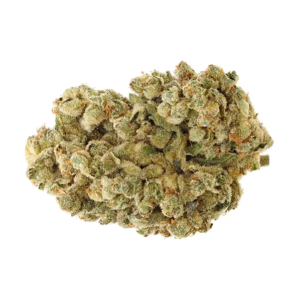 Bud image for Sourdough, cannabis all products by San Rafael '71
