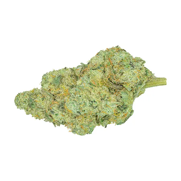 Bud image for Rotational, cannabis all products by San Rafael '71