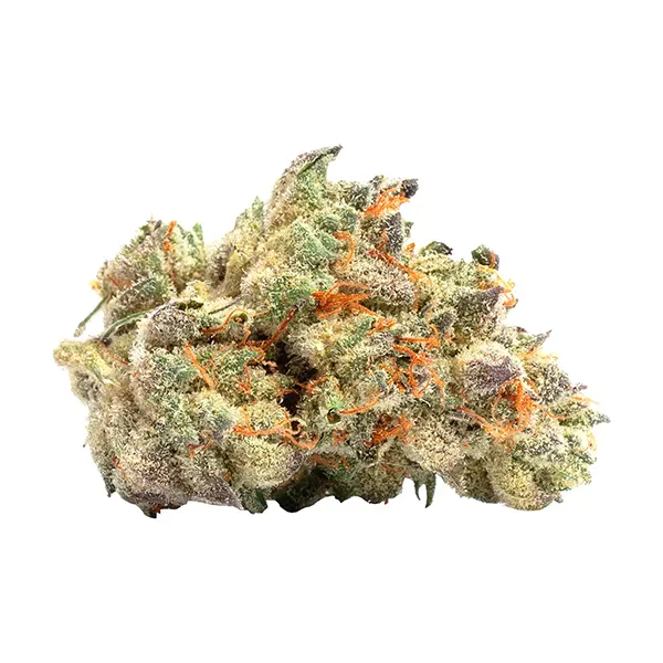 Purple Haze (Dried Flower) by LaHoja