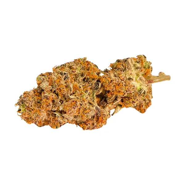 Orange Velvet Un..