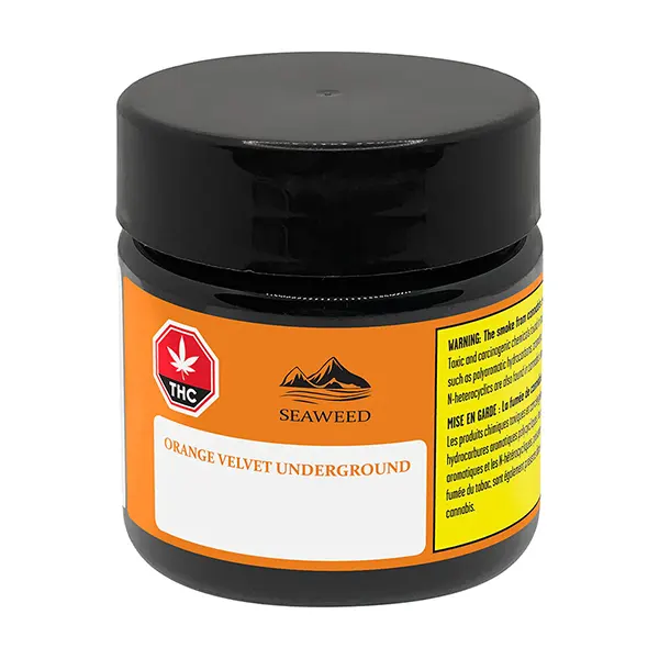 Orange Velvet Underground (Dried Flower) by SeaWeed