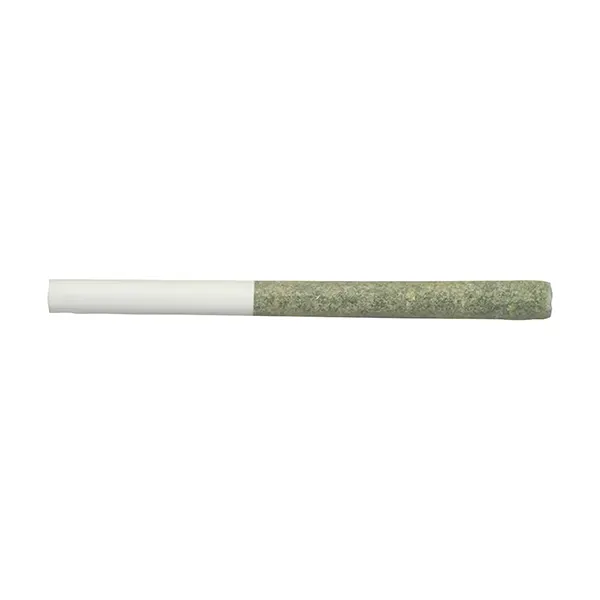 Image for Just Diesel Pre-Roll, cannabis all products by Tokes