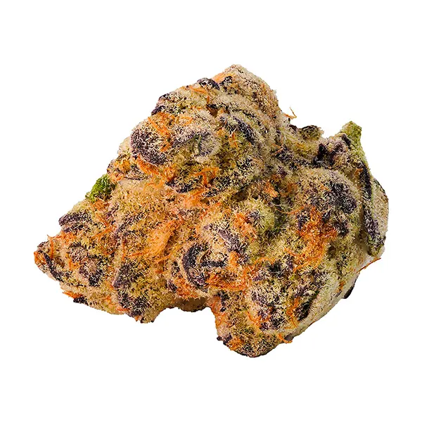 Bud image for Paulander Purple, cannabis all products by Highland Special