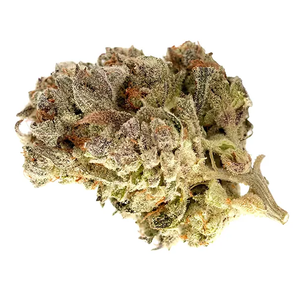 Cherry Park Pie
