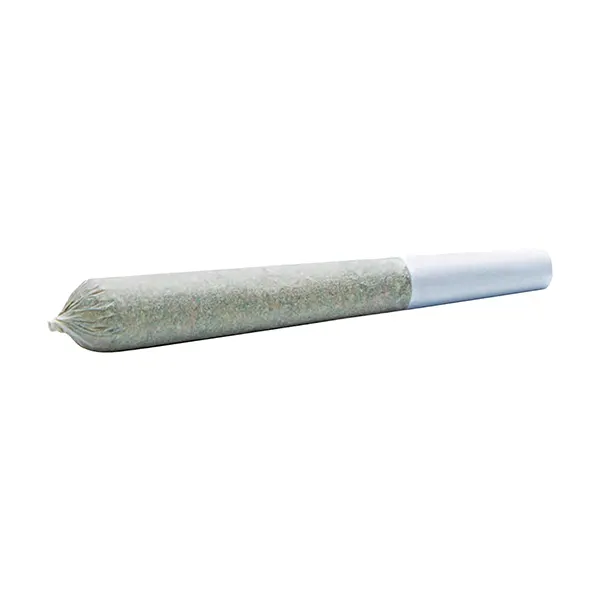 Image for White Blaze Pre-Roll, cannabis all products by Wildlife Cannabis