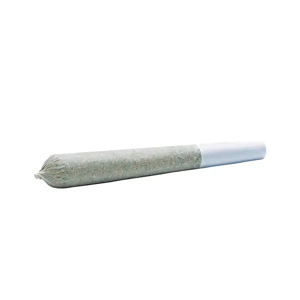 Image for Galactic Cherry Pre-Roll, cannabis all products by Wildlife Cannabis
