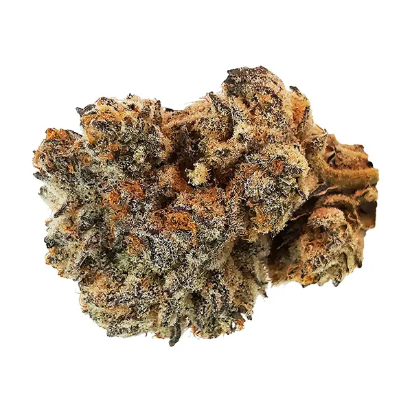 Bud image for Truffle Butter, cannabis all products by Dom Jackson