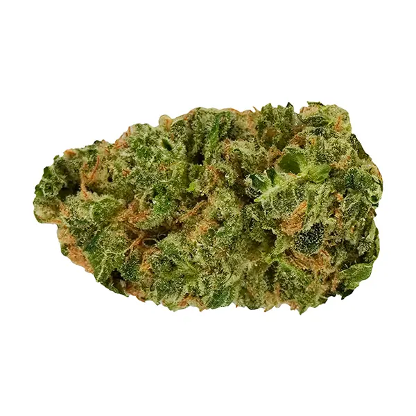 Product image for Astro Boyz Cannabis Flower by Cerberus PPV Holdings Ltd