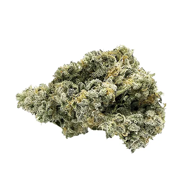 Bud image for Raptors Rntz, cannabis all products by Celebrity