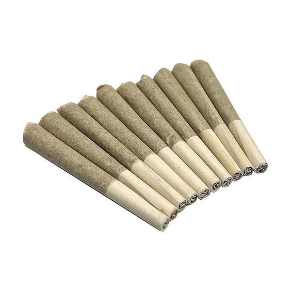 Image for Rotational - Tectonic Truffle Pre-Rolls, cannabis all products by CannJah