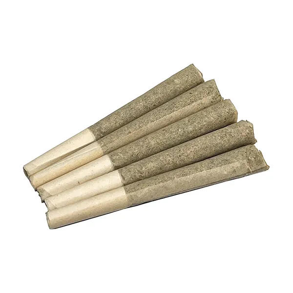 CBD Pre-Roll
