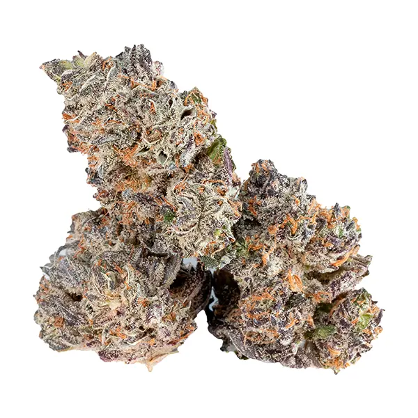 Bud image for Oreoz Breath, cannabis all products by Coterie