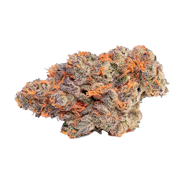 Bud image for Pink Rose #4, cannabis all products by Coterie
