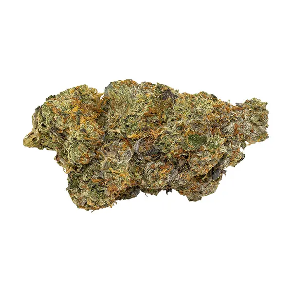 Vader OG