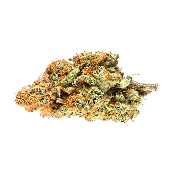 Lemon Haze (Dried Flower) by Retro Haze