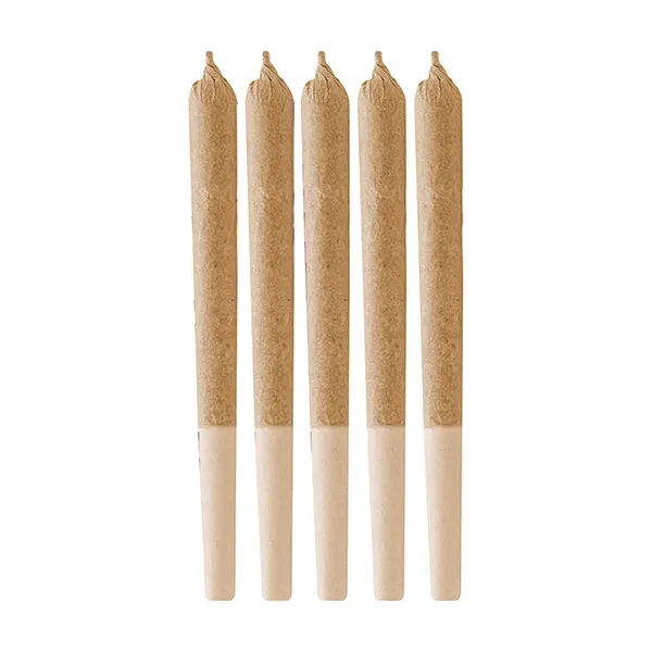 Image for Jack Herer Pre-Roll, cannabis all products by Retro Haze