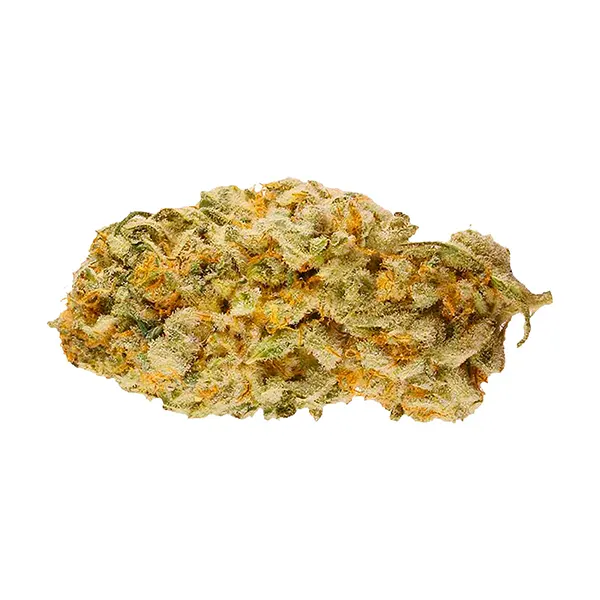 Bud image for Jack Herer, cannabis dried flower by Retro Haze