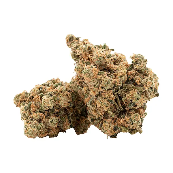 House Of Hazes (Dried Flower) by Retro Haze