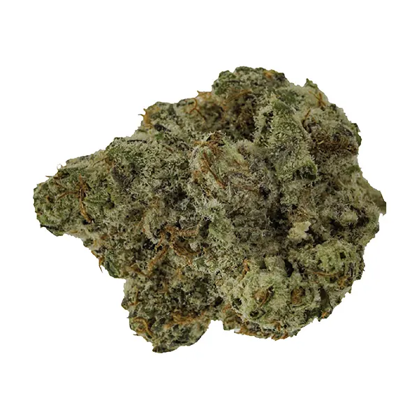 BC Craft Smalls (Dried Flower) by West Coast Craft