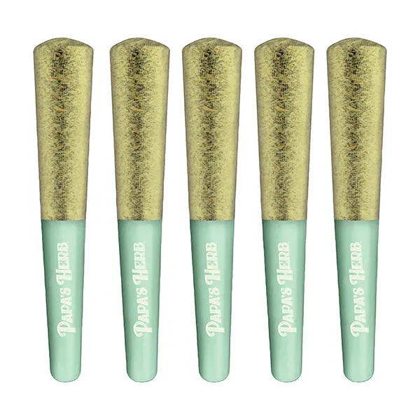 Image for Sativa Jack Herer Infused Pre-Roll Pack, cannabis all products by Papa's Herb