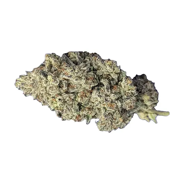 Bud image for Jealousy, cannabis all products by Papa's Herb