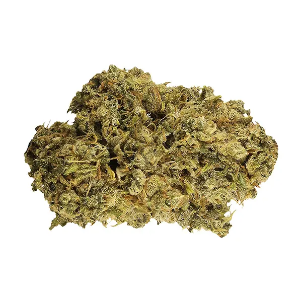 Bud image for Durban Poison, cannabis dried flower by Papa's Herb