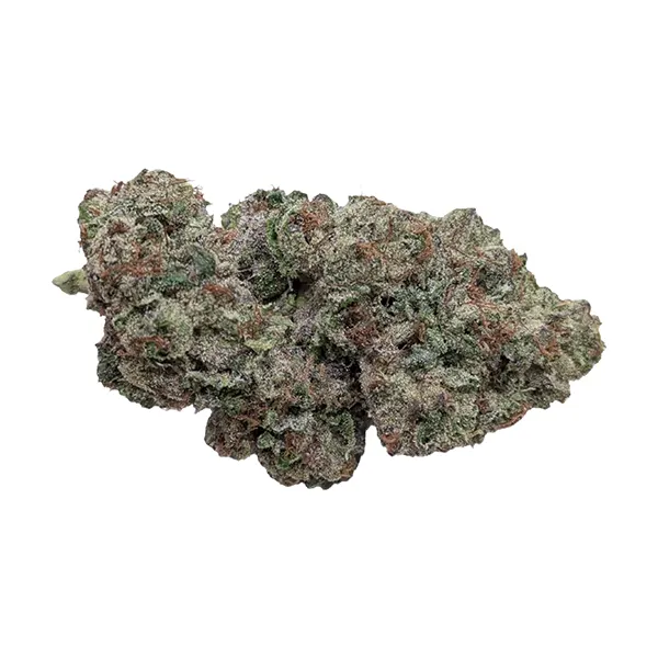 Bud image for Rntz Punch, cannabis all products by 1809 Underground