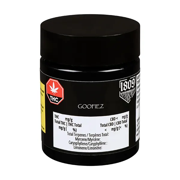 Goofiez (Dried Flower) by 1809 Underground