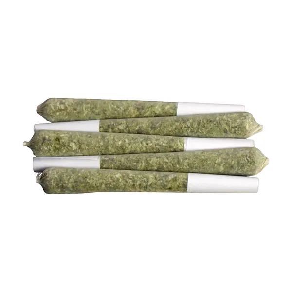 Goofiez Pre-Roll