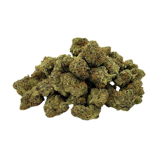 Bud image for Mini Quadz Sativa, cannabis all products by Smoke Show