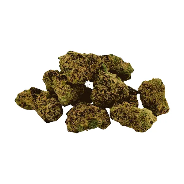 Mini Quadz Sativ..