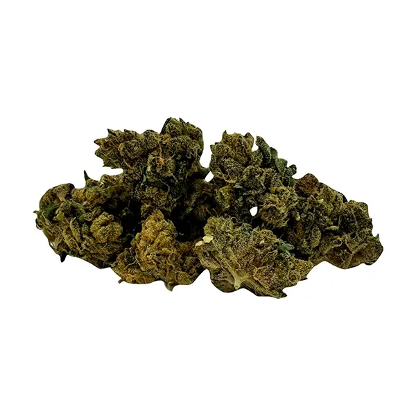 Mini Quadz Indica (Dried Flower) by Smoke Show