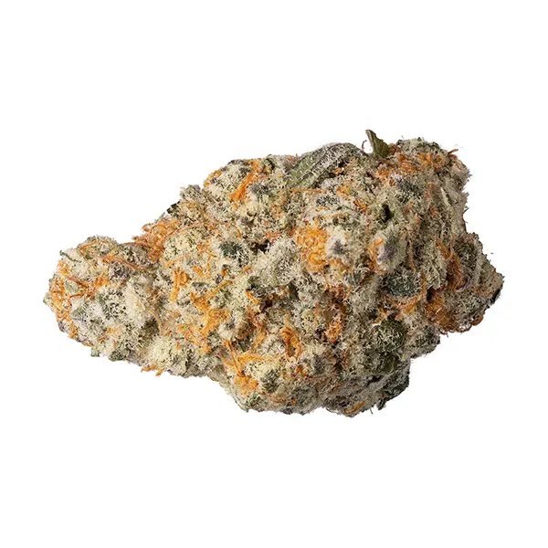 Bud image for Platinum Punch Remix, cannabis all products by Northern Canna