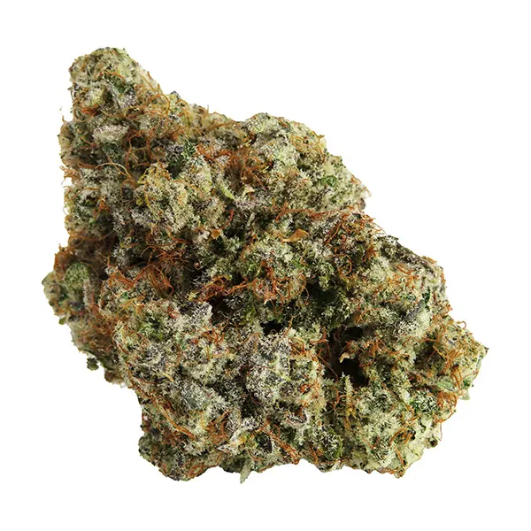 Bud image for Permanent Marker, cannabis all products by Northern Canna